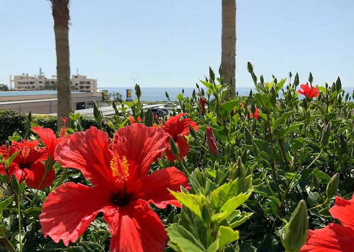 아파트 Kings Palace Indigo 109 *